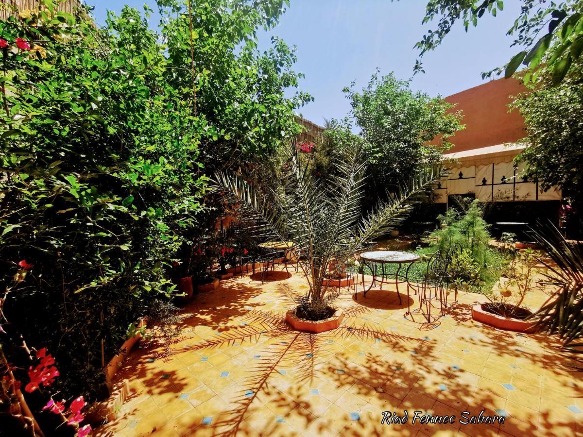 Riad Fennec Sahara Zagora Exterior foto