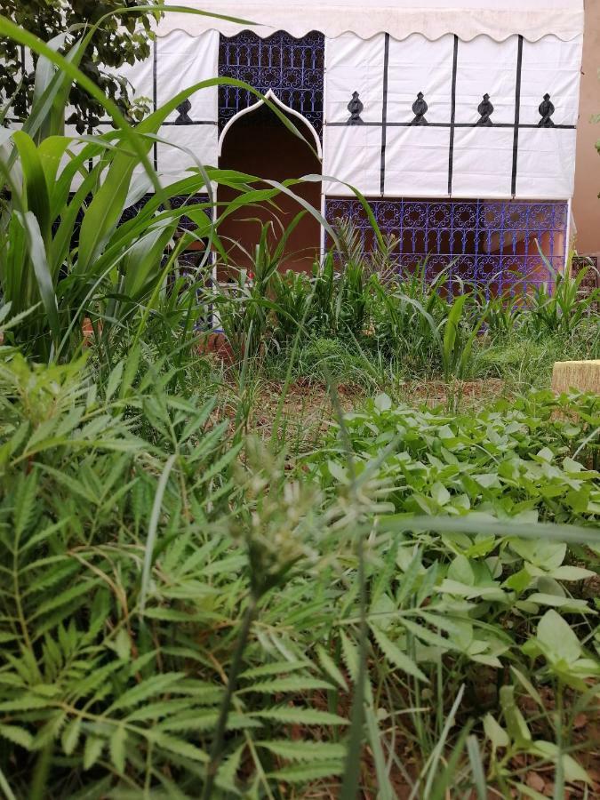 Riad Fennec Sahara Zagora Exterior foto